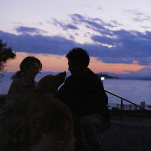 国产在线视频资源
