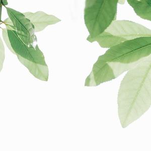 国产在线视频资源
